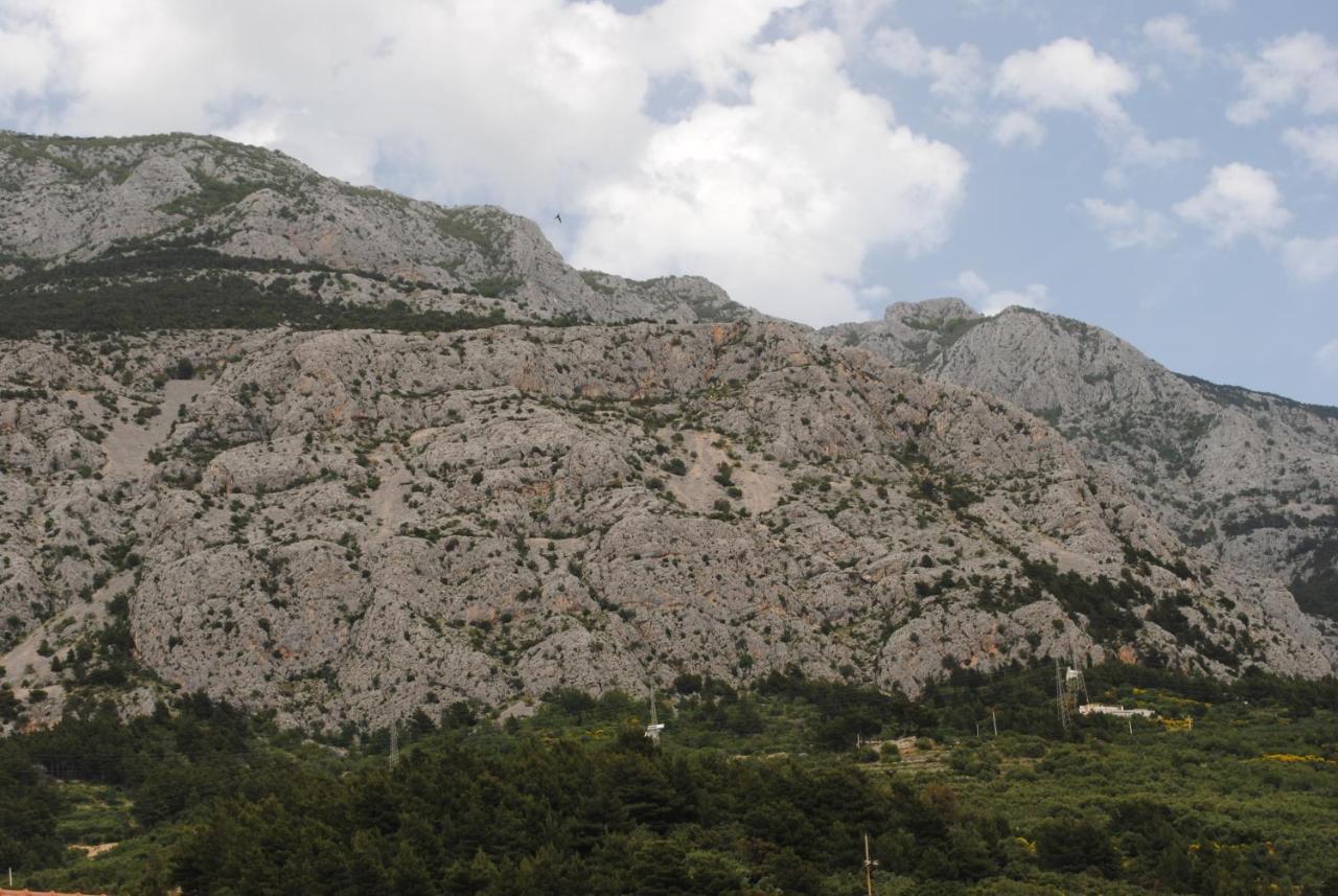 Apartments Natura Makarska Exterior foto