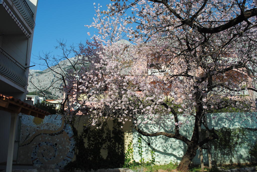 Apartments Natura Makarska Exterior foto